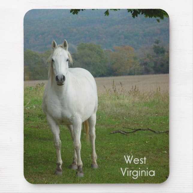Mousepad Bocal de Cavalo Branco (Frente)