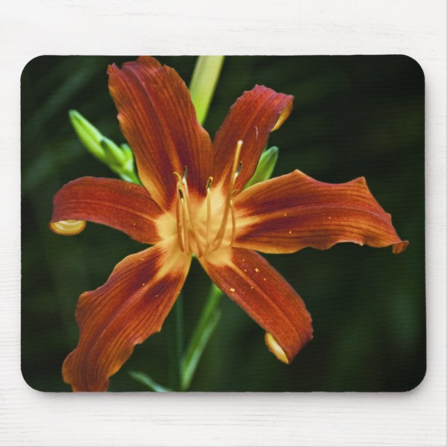 Mousepad Bocal de Chama de Jardim (Frente)