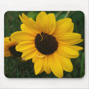 Mousepad Bocal de girassol