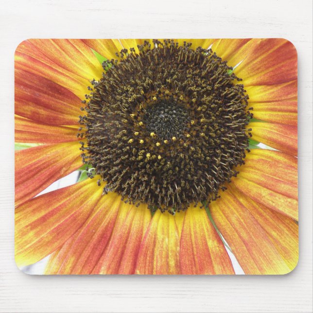 Mousepad Bocal de Girassol Laranja (Frente)
