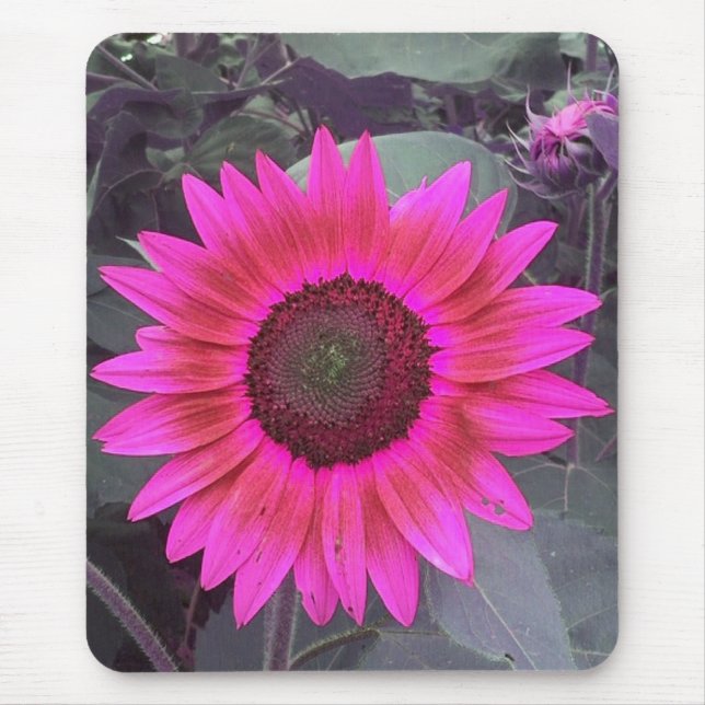 Mousepad Bocal de Girassol Rosa Neon (Frente)