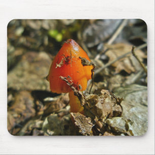 Mousepad Bocal do Cogumelo do Boné Minúsculo Amberina Cone