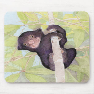 Mousepad Bocal do Cubo do Urso Sol