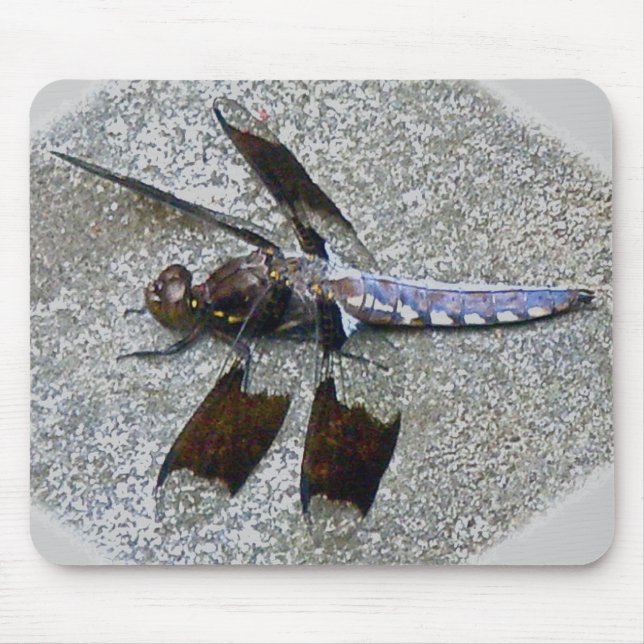 Mousepad Bocal Dragonfly Azul (Frente)