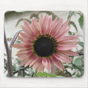 Mousepad Bocal Rosa Pálido