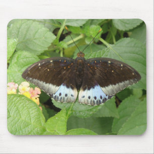Mousepad Bocal Tropical bonito