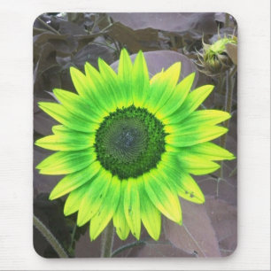 Mousepad Bocal Verde-Sol Amarelo