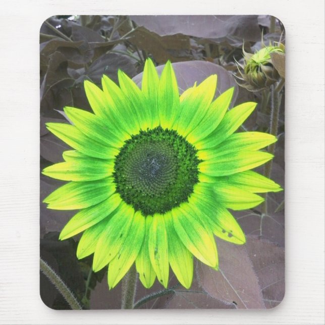 Mousepad Bocal Verde-Sol Amarelo (Frente)