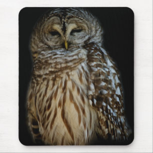 Mousepad Bocalhar de Coruja Sonolenta