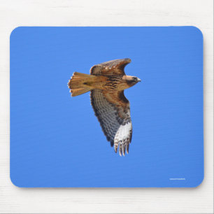 Mousepad Bocão-Vivo-Vivo-Vivo-Vivo-Vivo-Vivo-Vivo-Vivo-Vivo