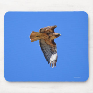 Mousepad Bocão-Vivo-Vivo-Vivo-Vivo-Vivo-Vivo-Vivo-Vivo-Vivo