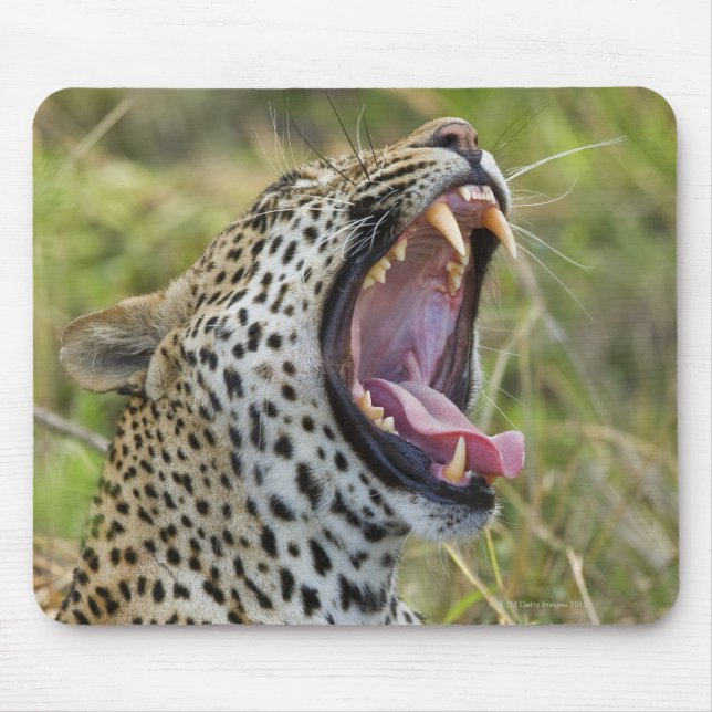 Mousepad Bocejo-Leopardo, Parque Nacional do Grande Kruger, (Frente)