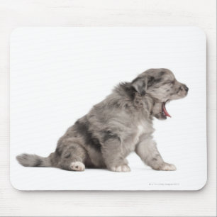 Mousepad Bocejo pirenaico do filhote de cachorro do pastor