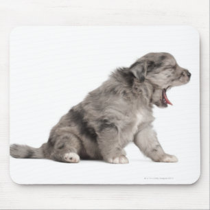 Mousepad Bocejo pirenaico do filhote de cachorro do pastor