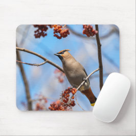 Mousepad Boêmia Waxwing, Fotografia Aviária da Vida Selvage