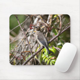 Mousepad Bohemian Waxwing, Canadense Avian Fotografia