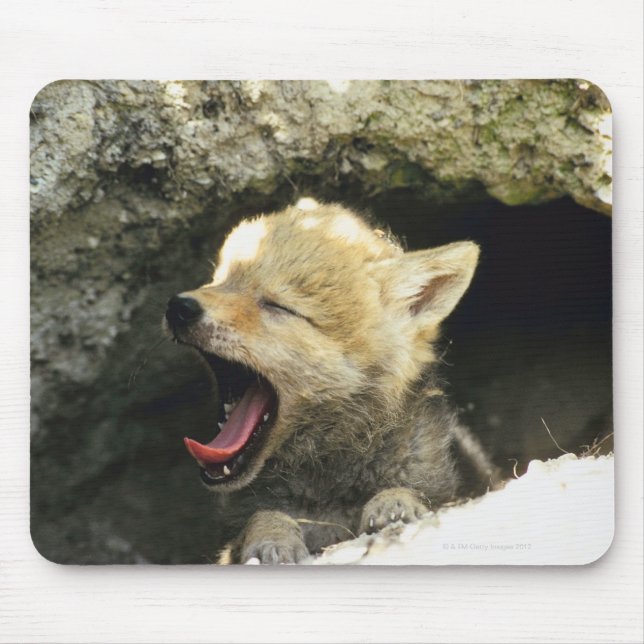 Mousepad Boi coyote boiando (Frente)