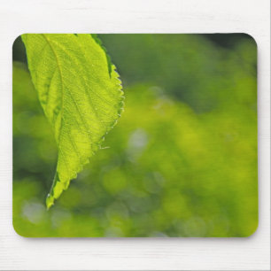Mousepad Bokeh de folha de árvore
