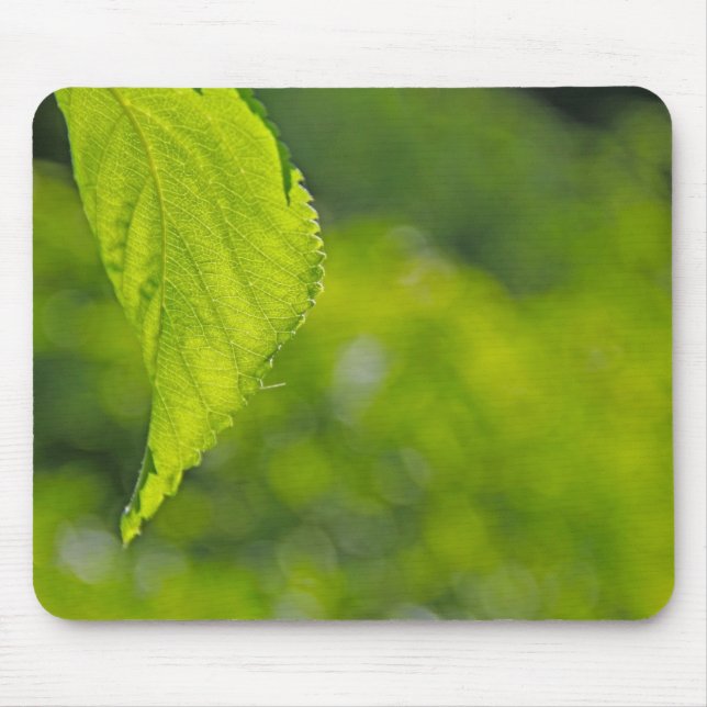 Mousepad Bokeh de folha de árvore (Frente)