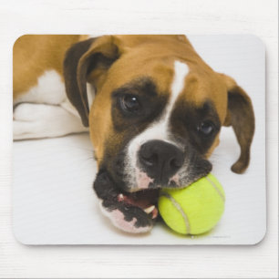 Mousepad Bola de tênis cortante do cão