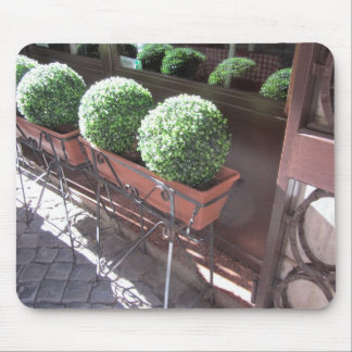 Mousepad Bolas de Topiaria