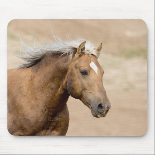 Mousepad Bolder Executa Mounsepad de Salvar Cavalos Selvage