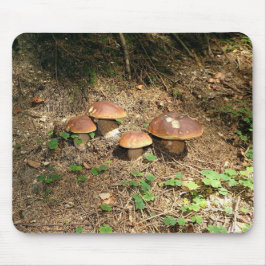 Mousepad boletus