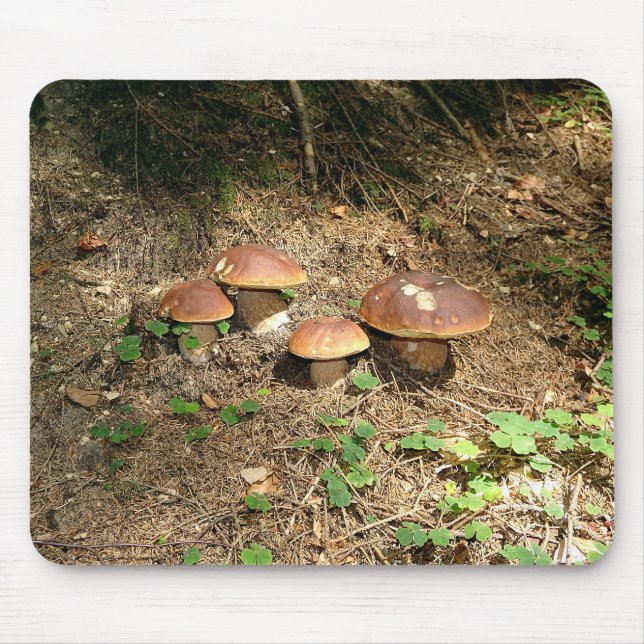 Mousepad boletus (Frente)