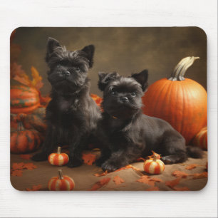 Mousepad Boliche Francês Puppy Autumn Delight Pumpkin