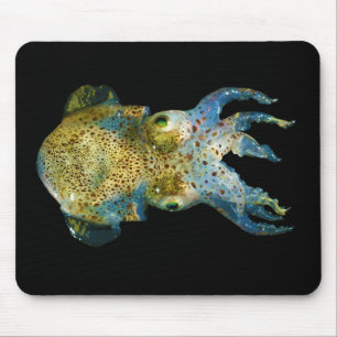 Mousepad Bolinha de massa Bobtail Sepiola atarracado