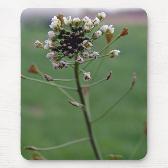 Mousepad Bolsa de Shepherd (Frente)