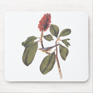 Mousepad Bonaparte Flycatcher Canada Warbler Audubon Bird