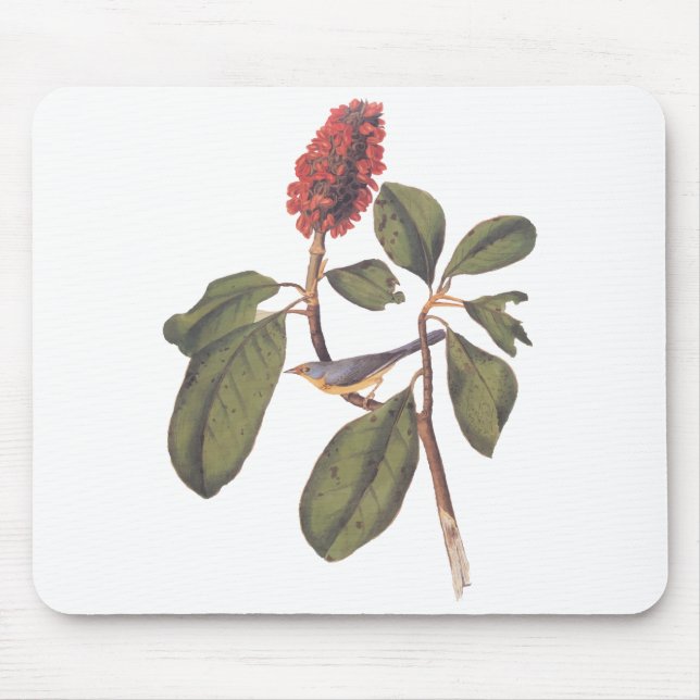 Mousepad Bonaparte Flycatcher Canada Warbler Audubon Bird (Frente)