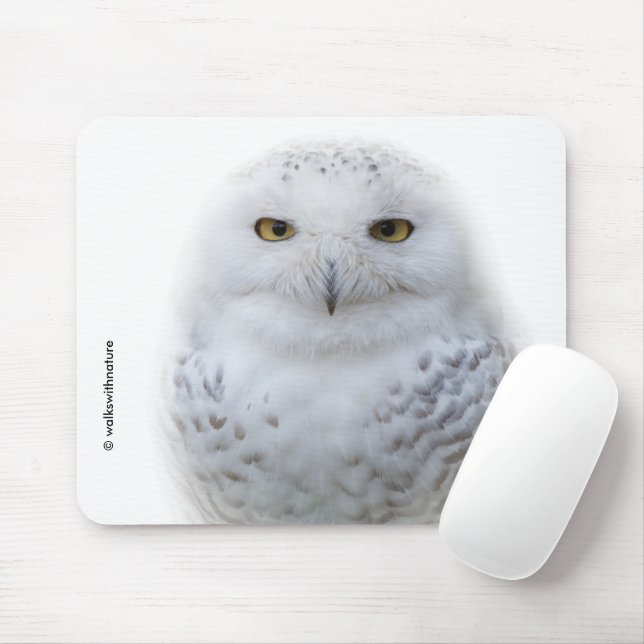 Mousepad Bonita, Dreamy e Serene Snowy Owl (Com mouse)