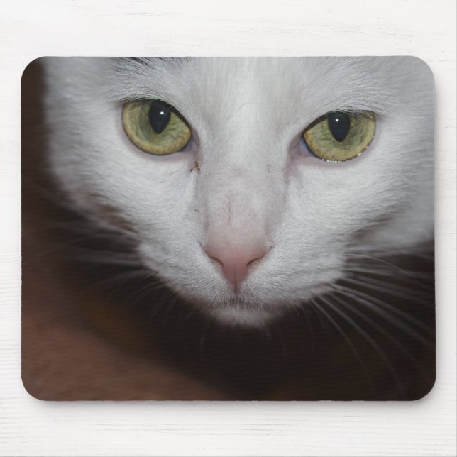 Mousepad Bonita Gata Branca (Frente)