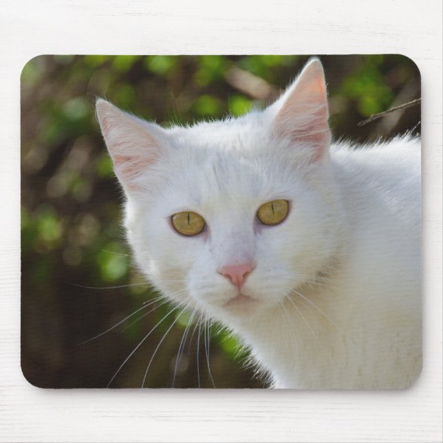 Mousepad Bonita Gata Branca (Frente)