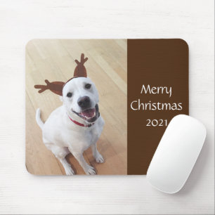 Mousepad Bonita Rebelde Branca Sorridente Cachorro Cachorro