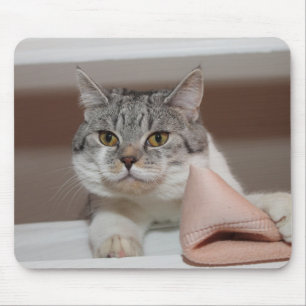 Mousepad Bonita Tomcat