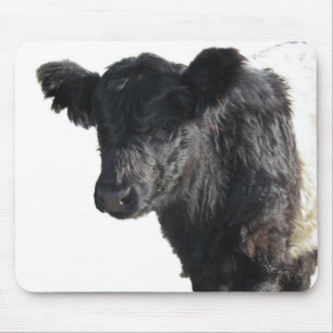 Mousepad Bonitão Beliscado Galloway Steer