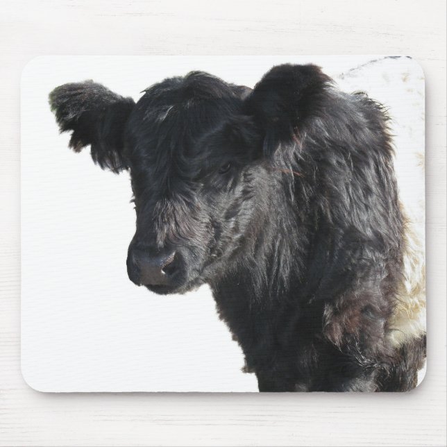 Mousepad Bonitão Beliscado Galloway Steer (Frente)
