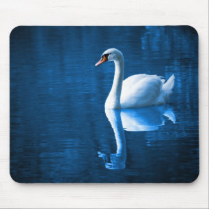 Mousepad Bonito cisne branco flutuando num lago azul