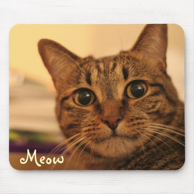 Mousepad bonito da cara do gato de gato malhado (Frente)