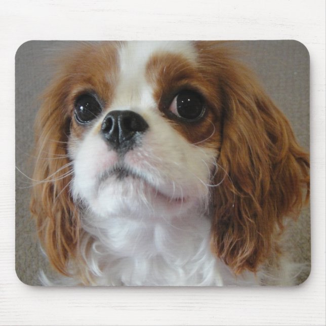 Mousepad bonito descuidado do cão de filhote de (Frente)