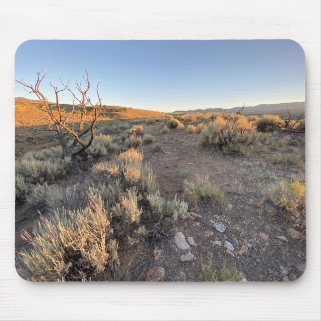 Mousepad Bonito Deserto De Nevada (Frente)