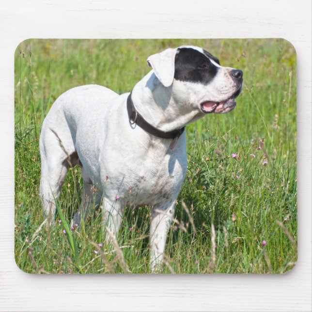 Mousepad Bonito Dogo Argentino (Frente)