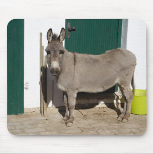Mousepad Bonito Donkey