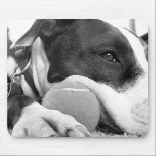 Mousepad bonito e triste cão pitbull preto branco com bola