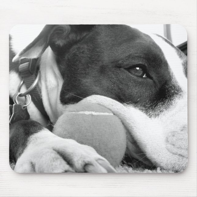 Mousepad bonito e triste cão pitbull preto branco com bola (Frente)