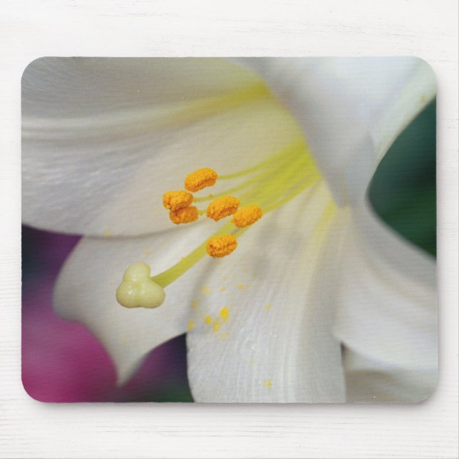 Mousepad Bonito Enquanto Lily (Frente)