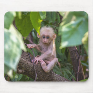 Mousepad Bonito Feixe Perfurado Macaque